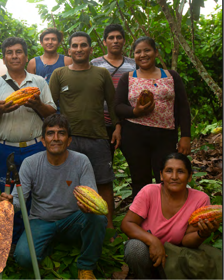 Ceremonial Cacao - Daily Ritual, Peru, 200 g