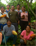 Ceremonial Cacao - Daily Ritual, Peru, 200 g